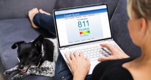 Best Credit Check Apps
