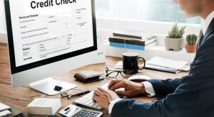 Credit Check Companies