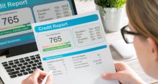 Monthly Credit Check