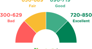 Check Credit Rating