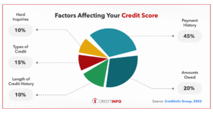 Credit Score Factors