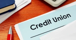 Credit Union vs Bankunion-vs-bank-understanding-choosing-the-right-financial-institution/