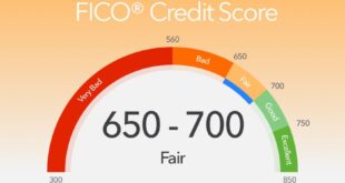 Monthly Credit Score Check