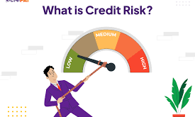 Low Credit Risk