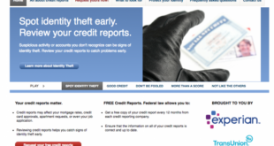 Annual Credit Report