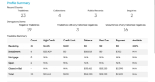 Credit Check for Jobs