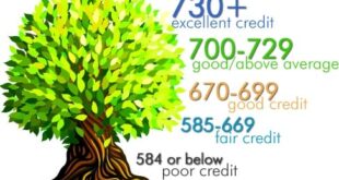 Free Score Increase