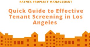 Tenant Credit Check