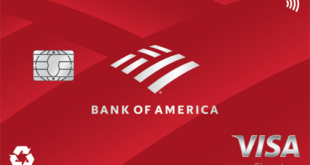 Best Cashback Credit Cards