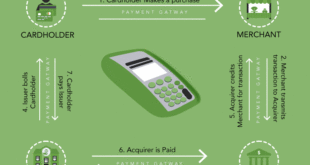 Everyday Purchase Credit Cards