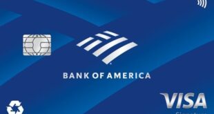 Student-Friendly Credit Cards